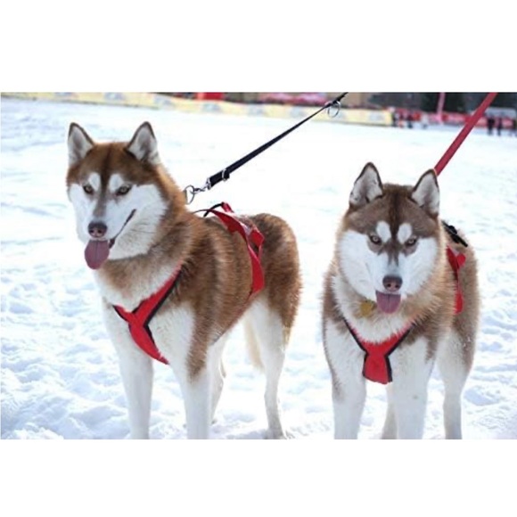 Neewa Sled Dog/Husky Harness for Running/Biking | Pink, Size Small - Picture 9 of 11